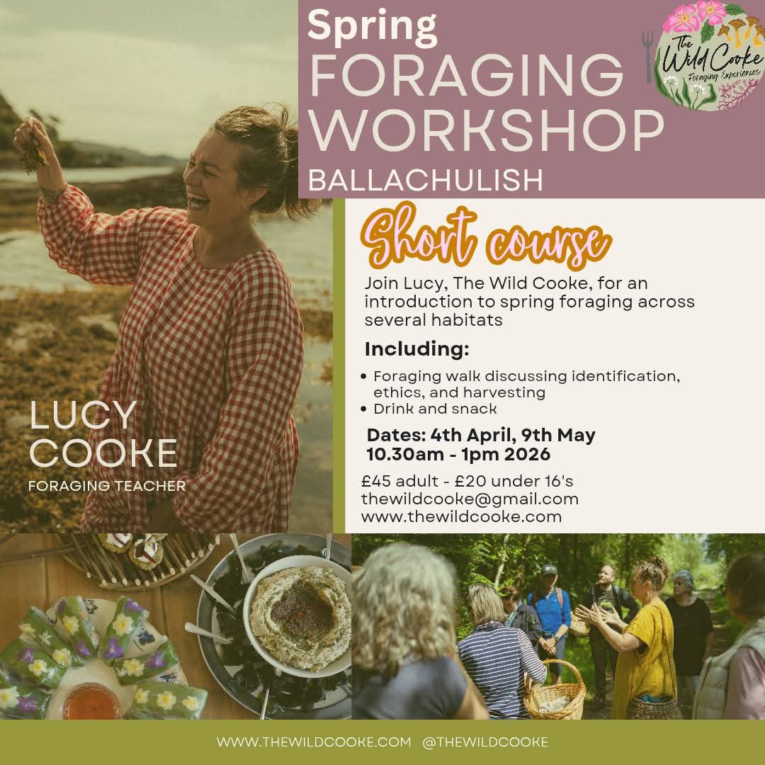 Spring Foraging workshop