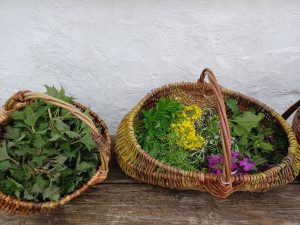 Spring Foraging workshop baskets