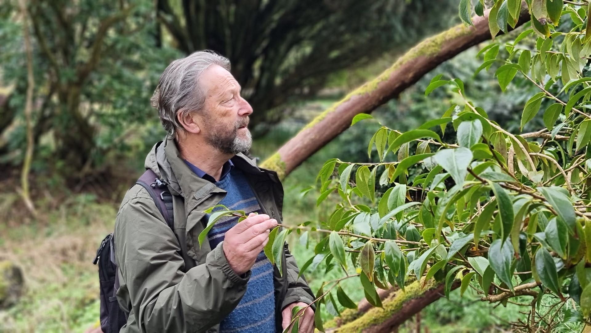 Khouse Dunollie garden tours dunollie oban garden tours